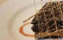 Enjoy Multi-Course Meals