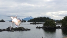 Humming Bird wants to get into the scenic photo from the Bluff House