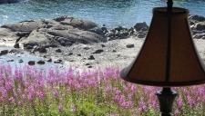 View from guest room window