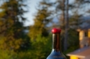 Bottle of Wine