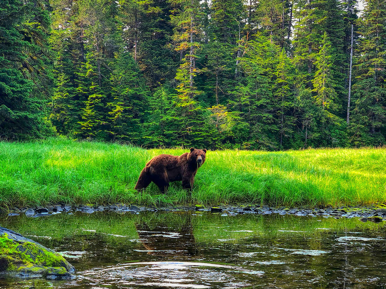 Alaska Wonder-Talon Lodge & Spa